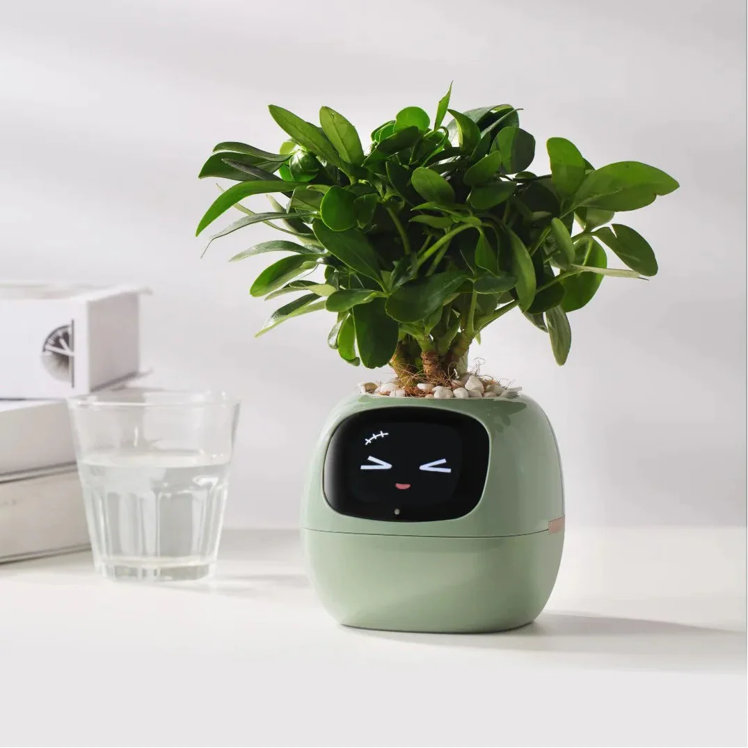 Tuya Ivy Smart Planter