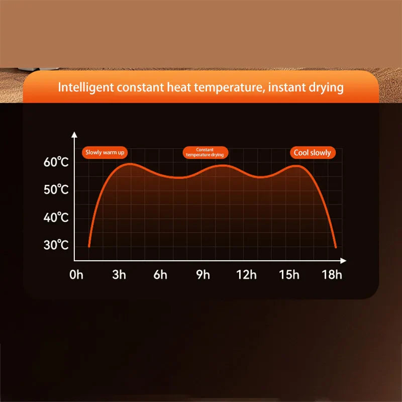 Electric UV Shoe Dryer